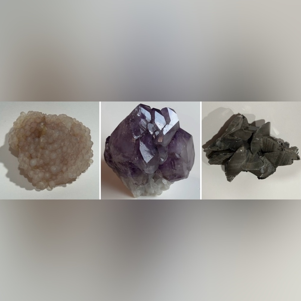 Bundle for @gardengirlsrox